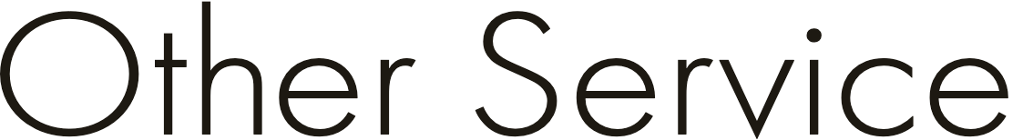 Other Service
